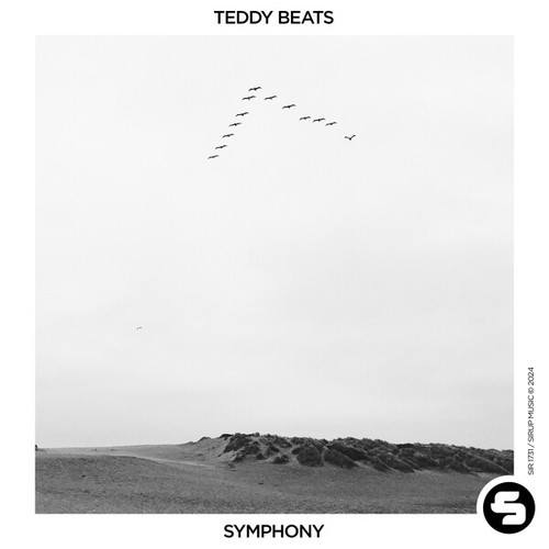Teddy Beats-Symphony