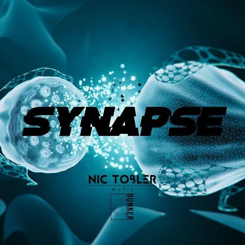 Synapse