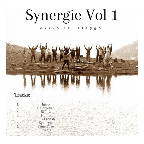 Dxrvo, Fleggo-Synergie, Vol. 1
