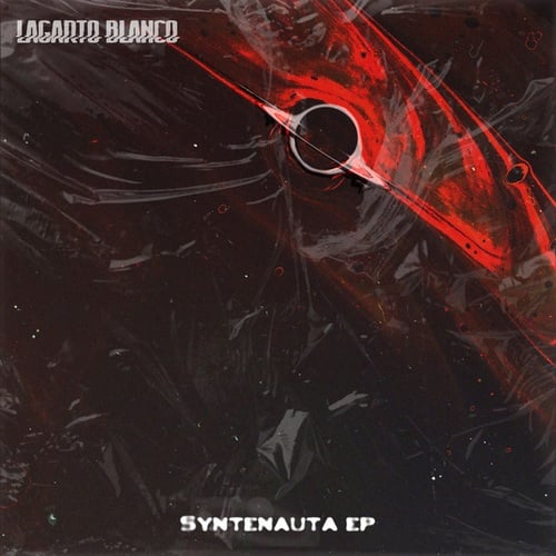 Lagarto Blanco-Syntenauta