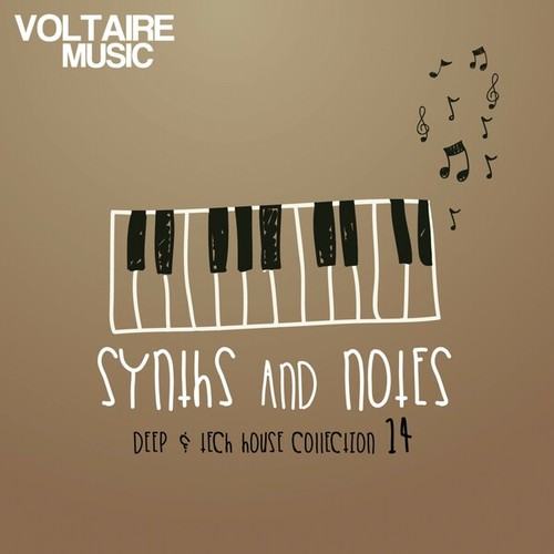 Various Artists-Synths and Notes 14