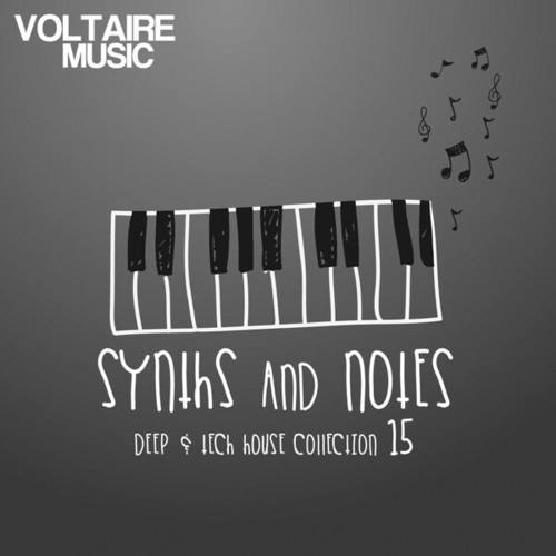 Various Artists-Synths and Notes 15
