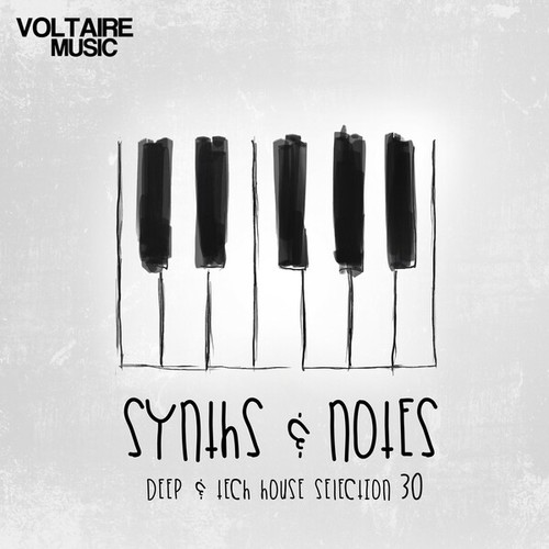 Various Artists-Synths and Notes 30