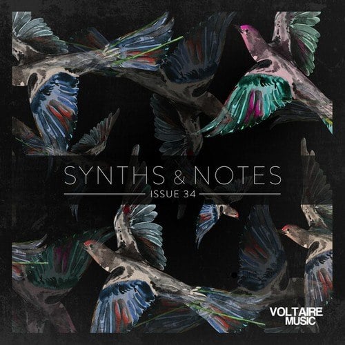 Various Artists-Synths and Notes 34
