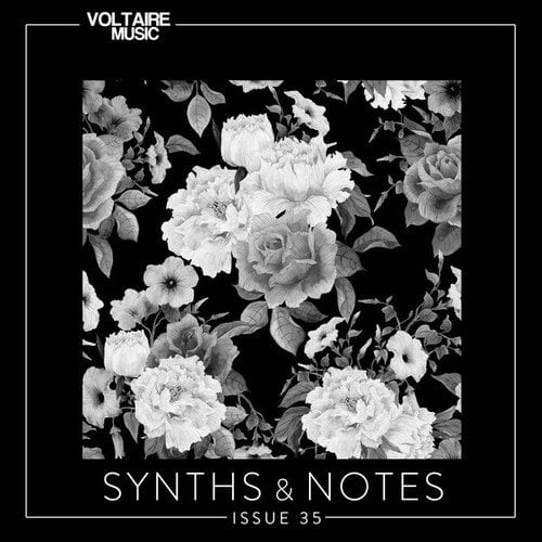 Various Artists-Synths and Notes 35