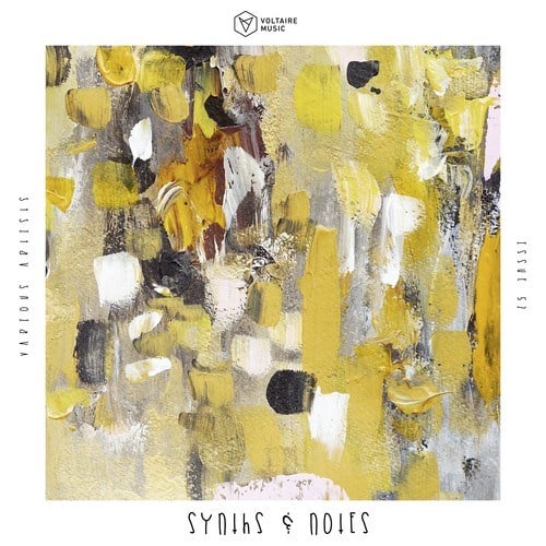 Various Artists-Synths and Notes 52