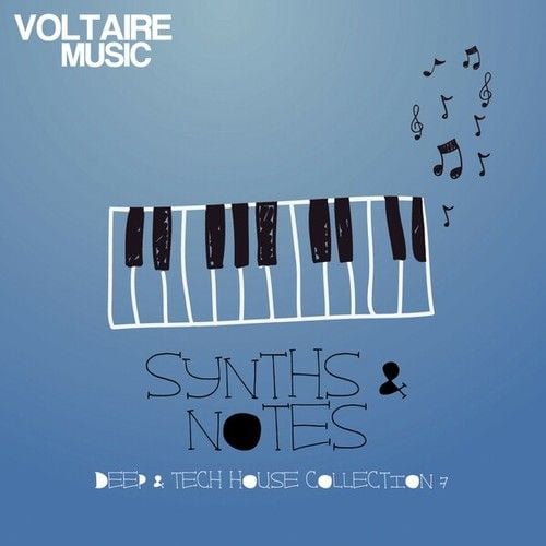 Various Artists-Synths and Notes 7.0