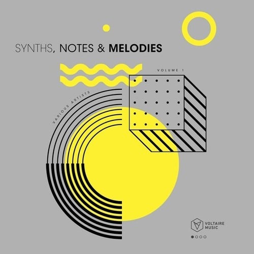 Various Artists-Synths, Notes & Melodies, Vol. 1