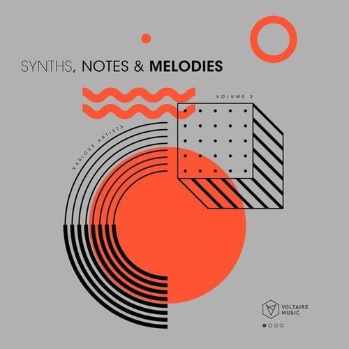 Various Artists-Synths, Notes & Melodies, Vol. 2