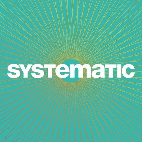 Systematic Essentials 2024