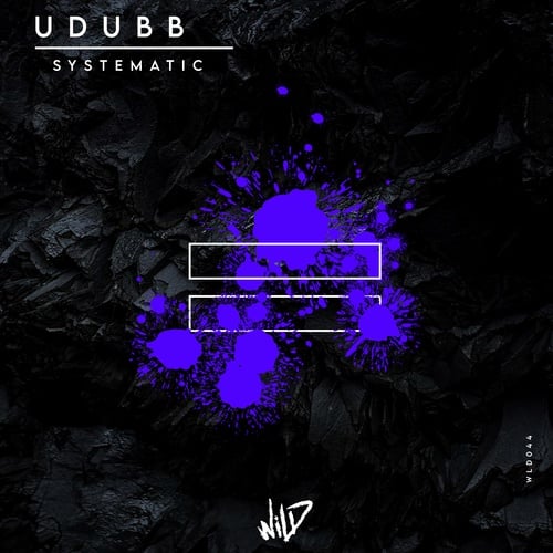 UDUBB-Systematic