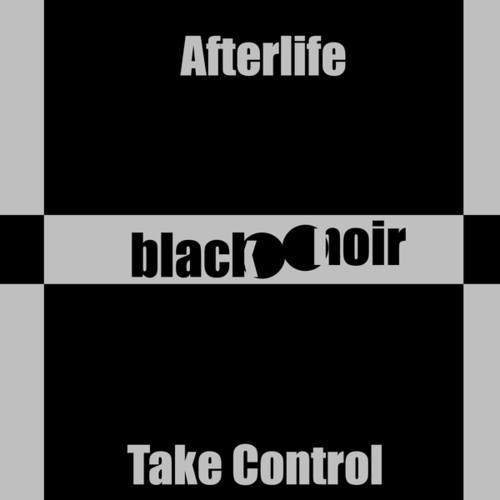 Afterlife-Take Control