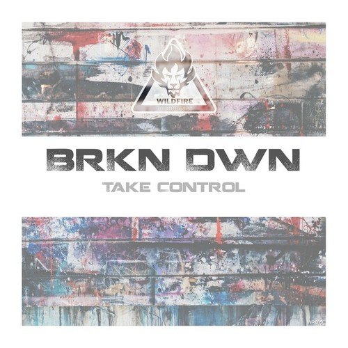 BRKN DWN-Take Control