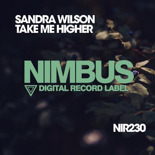 Sandra Wilson-Take Me Higher