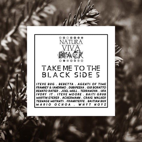 Various Artists-Take Me to the Black Side 5