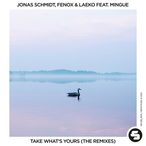Jonas Schmidt, Fenox, Laeko, Mingue, D'Amico & Valax, Casiraghi, Damboo, KIZĒ-Take What's Yours (The Remixes)