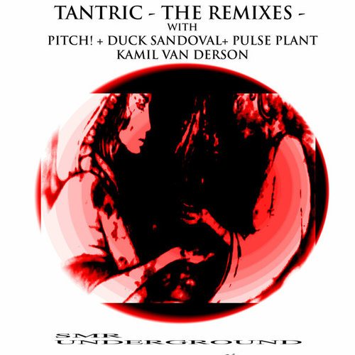 Tantric - The Remixes -