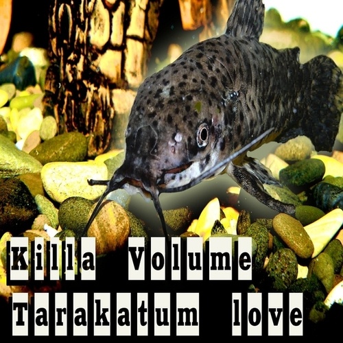 Killer Volume-Tarakatum love