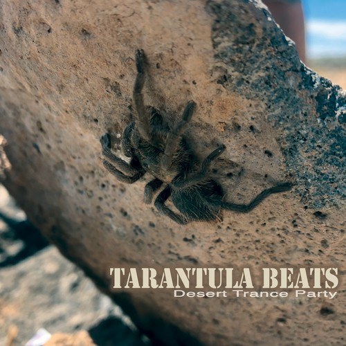 Various Artists-Tarantula Beats: Desert Trance Party