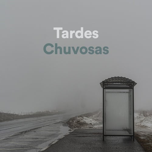 Tardes Chuvosas