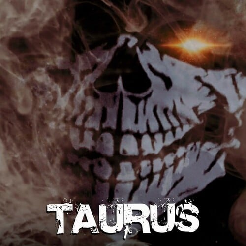 ROTECH-Taurus (Radio Version)