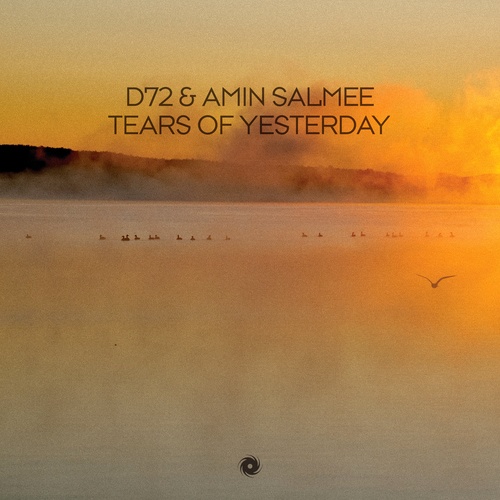 D72, Amin Salmee-Tears of Yesterday