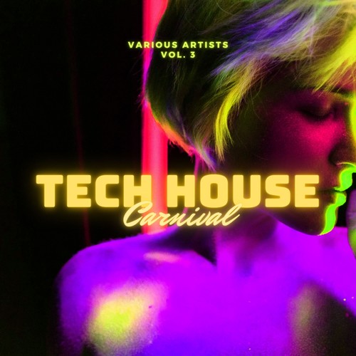 Various Artists-Tech House Carnival, Vol. 3