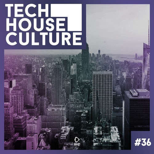 Various Artists-Tech House Culture #36