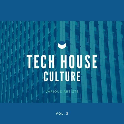 Various Artists-Tech House Culture, Vol. 3