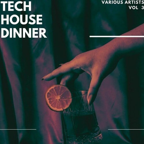 Various Artists-Tech House Dinner, Vol. 3