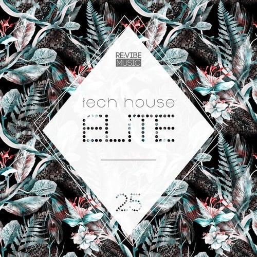Various Artists-Tech House Elite, Issue 25