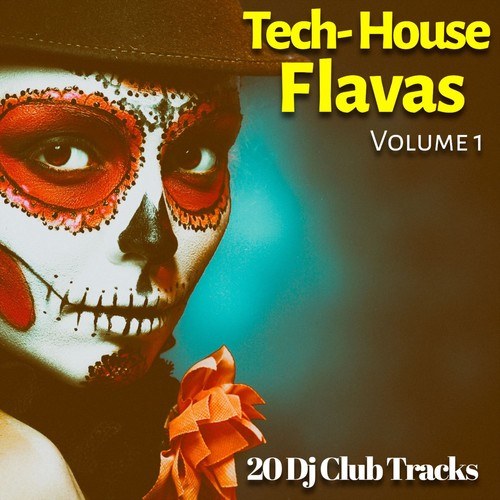Various Artists-Tech House Flavas, Vol. 1