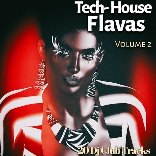 Various Artists-Tech House Flavas, Vol. 2