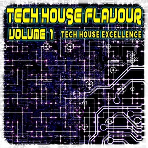 Various Artists-Tech House Flavour, Vol. 1 (Tech House Excellence)