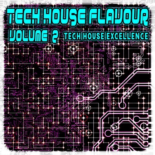 Various Artists-Tech House Flavour, Vol. 2 (Tech House Excellence)