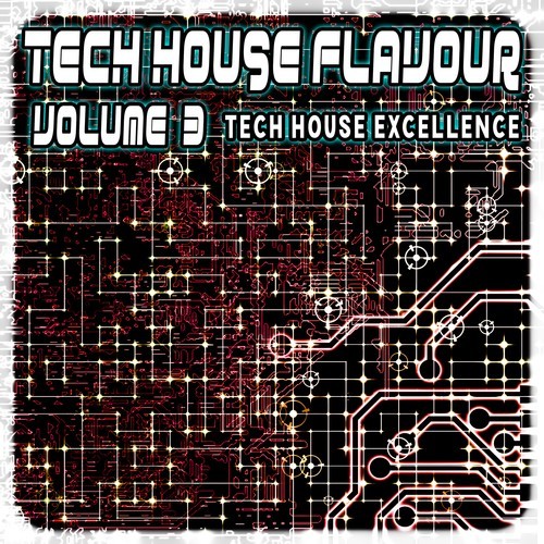 Various Artists-Tech House Flavour, Vol. 3 (Tech House Excellence)