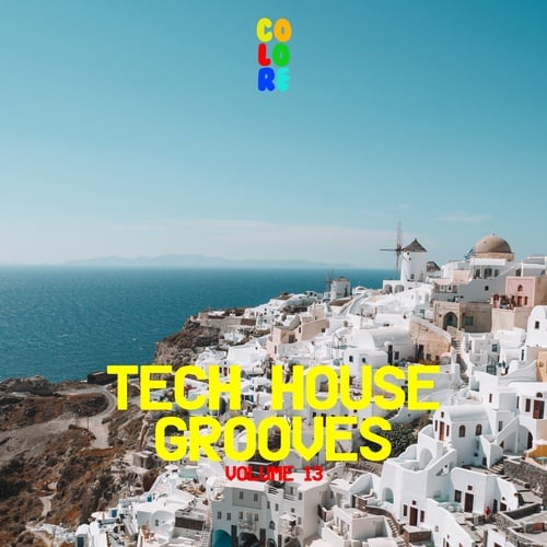 Various Artists-Tech House Grooves 13