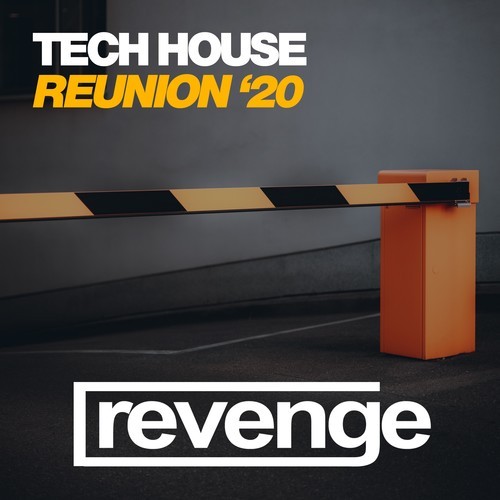 Various Artists-Tech House Reunion Summer '20