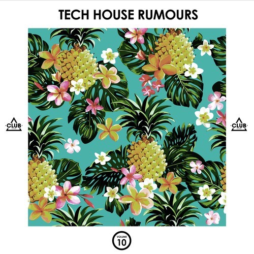 Various Artists-Tech House Rumours, Vol. 10