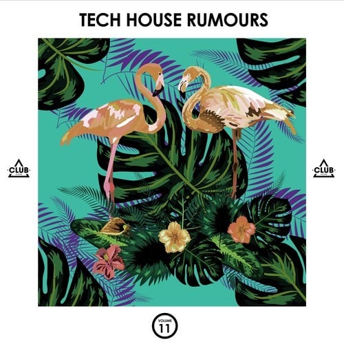Various Artists-Tech House Rumours, Vol. 11