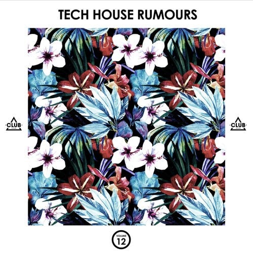 Various Artists-Tech House Rumours, Vol. 12