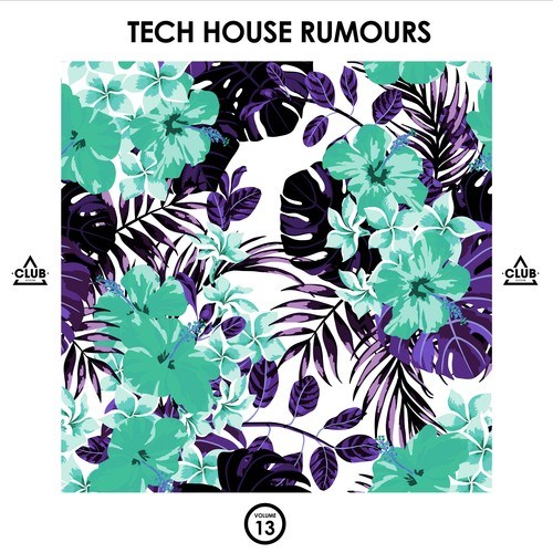 Various Artists-Tech House Rumours, Vol. 13