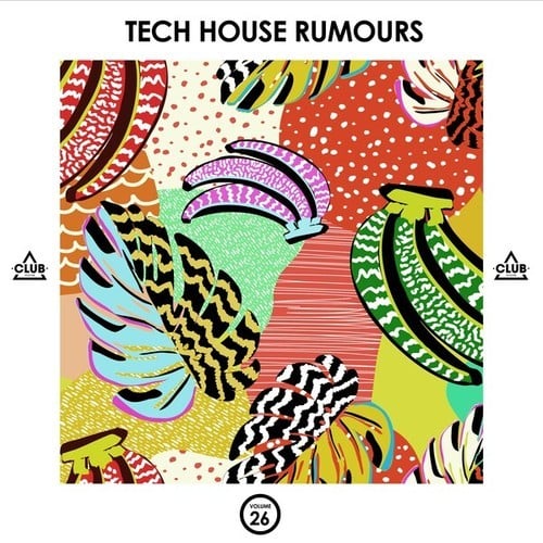 Various Artists-Tech House Rumours, Vol. 26