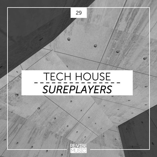 Various Artists-Tech House Sureplayers, Vol. 29