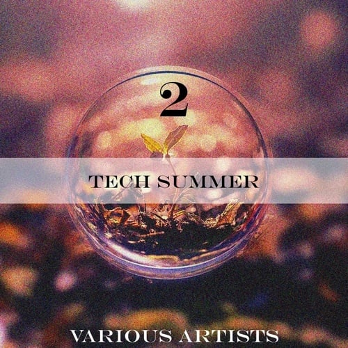 Various Artists-Tech Summer 2