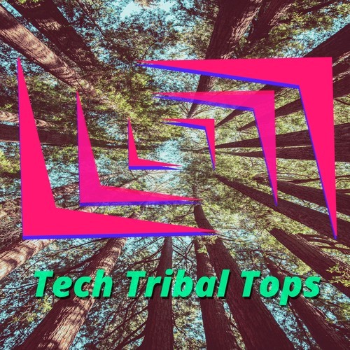 Supersonic Lizards, Jason Rivas, Glitch Vuu, Terry De Jeff, Organic Noise From Ibiza, Bossa Del Chill, Jason's Afro House Connection-Tech Tribal Tops