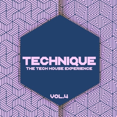 Various Artists-Technique, Vol. 4 (The Tech House Experience)