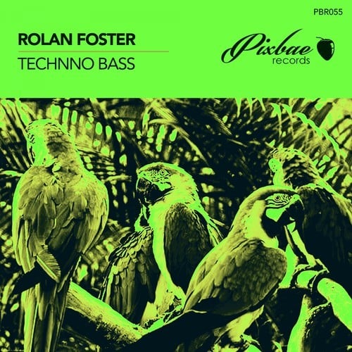Rolan Foster-Techno Bass