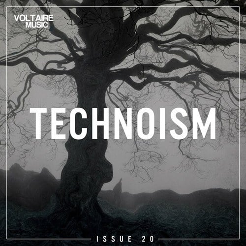 Various Artists-Technoism Issue 20