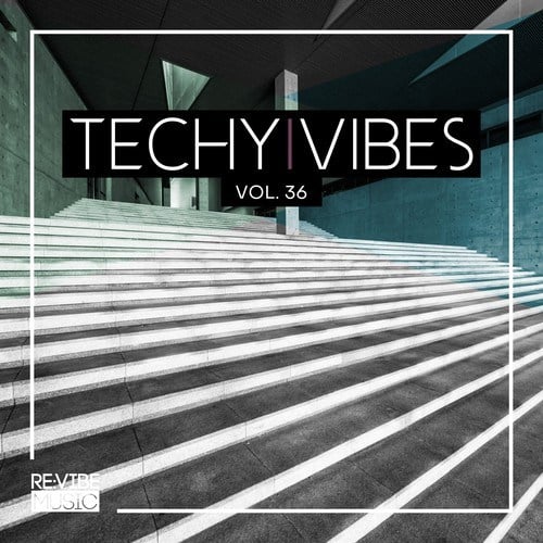 Various Artists-Techy Vibes, Vol. 36